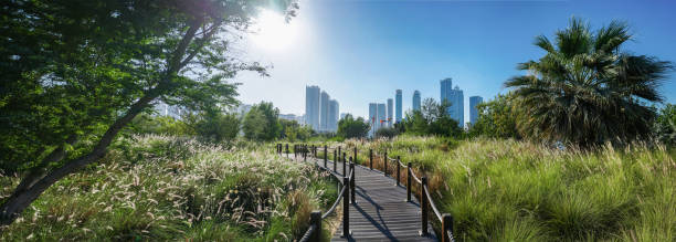 Landscaped Green Island - a Nature Reserve with a Panorama of the City Landscaped Green Island - a Nature Reserve with a Panorama of the City. Island - Butterfly Park, Sharjah, United Arab Emirates, Feb.2018 emirate of sharjah stock pictures, royalty-free photos & images
