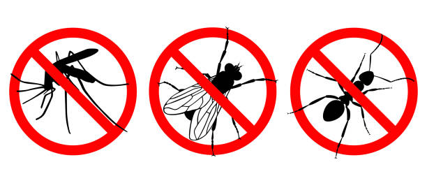 No insects Warning sign NO INSECTS. Prohibited sign. Set icons: NO MOSQUITOES; NO ANTS, NO FLIES. Symbol for informational and institutional sanitation and related care extreem weer stock illustrations