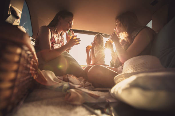 istock Friends drinking refreshing beverages while resting from road trip 1162792953