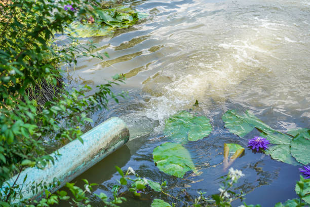 Water flowing from a pipe into natural lake. Waste water flowing from metal pipe into natural lake, water pollution and toxic environment concept. lake grunge stock pictures, royalty-free photos & images