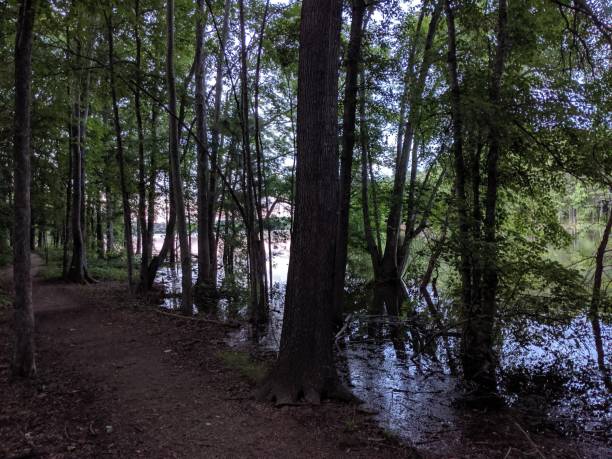 istock Trail of Norman 1162797348