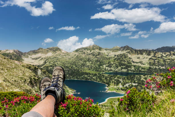 istock Legs with mountaineering boots between alpine roses 1162799780