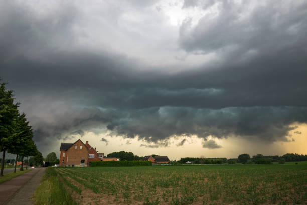 Ominous sky as the gust front of a severe thunderstorm is moving fast over the landscape of eastern Flanders, Belgium Dramatic sky as a thunderstorm approaches, not far from the historic city of Ghent, Belgium.
Several trees were uprooted due to severe windgusts due to this storm. flanders belgium photos stock pictures, royalty-free photos & images