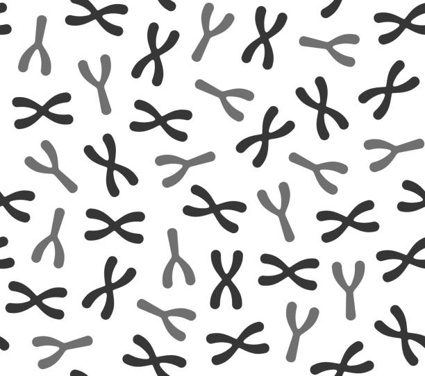 Seamless Chromosomes Pattern on White Background. Vector vector art illustration