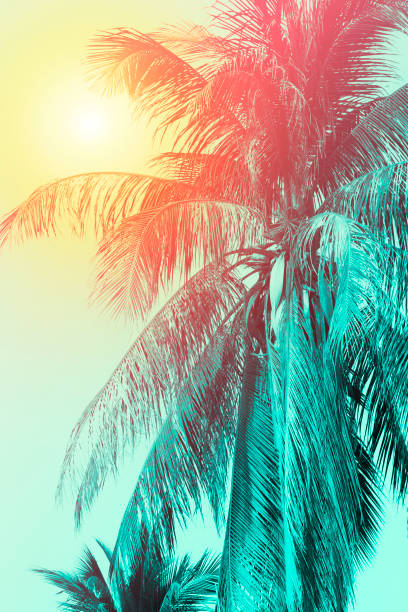 istock Coconut tree design of gradient color 1162800078