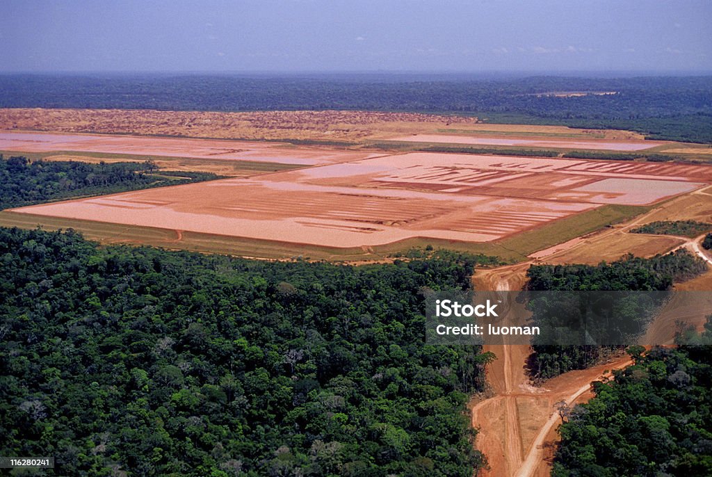 Industry in the Amazon Extraction of bauxite in the middle of the Amazon. Deforestation Stock Photo