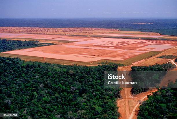 Industry In The Amazon Stock Photo - Download Image Now - Deforestation, Amazon Region, Amazon Rainforest