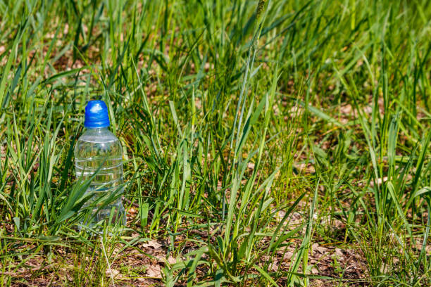 istock Plastic bottle with fresh drinking water in green grass on meadow 1162803830