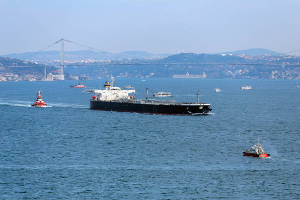 Large cargo container ship passing through Bosphorus, Istanbul, panorama of bosphorus stock photo