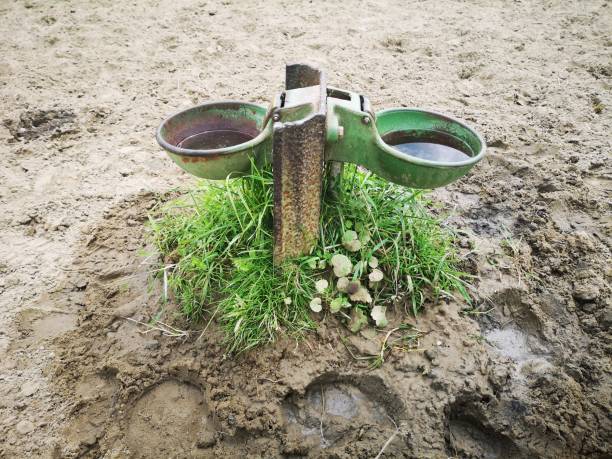 istock Old metal drinking troughs for the cows in the meadow. 1162805251