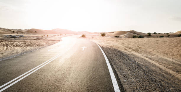 istock Desert road in the Middle East 1162806554