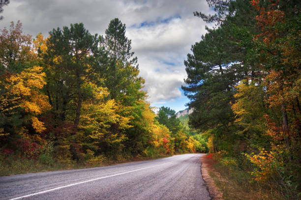 istock asphalt road and autumn forest. 1162806569