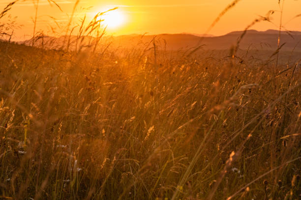 istock Beautiful sunset in the mountains 1162807786