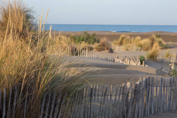 istock Morning at the beach 1162807817