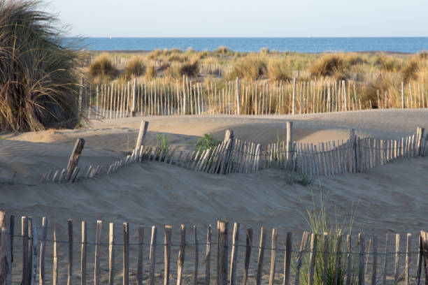 istock Morning at the beach 1162807858