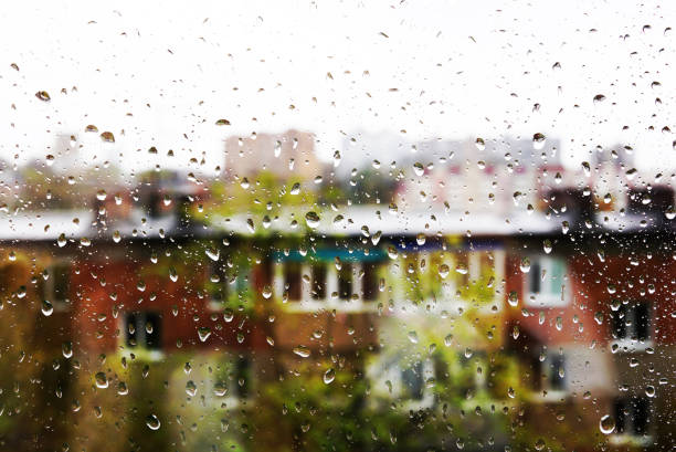 istock Drops on the window glass 1162808226