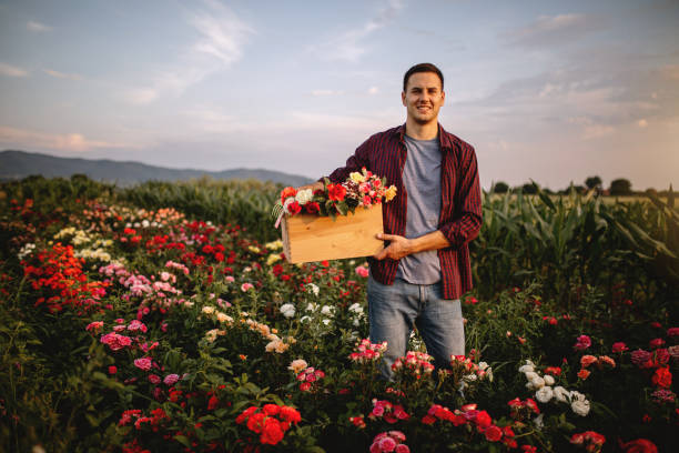 istock Handsome florist in a rose field 1162811045
