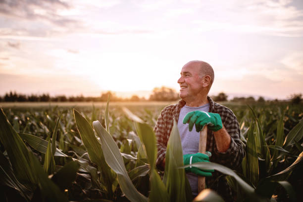 istock Cheerful smiling farmer with a work tool on a farm 1162811240