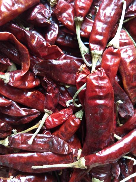 istock Food ingredients dry capsicum 1162813482
