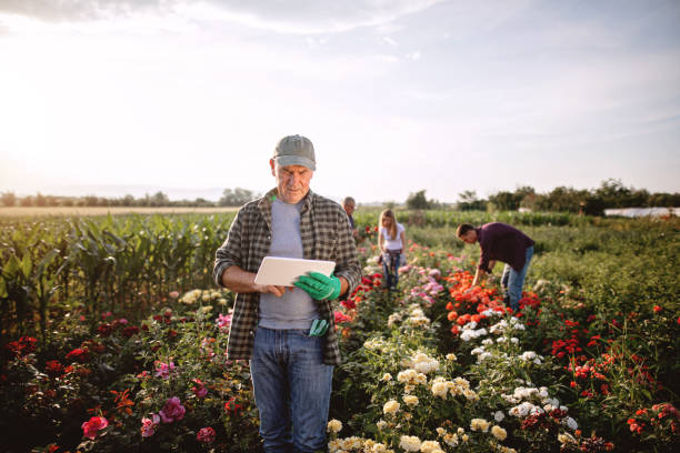 Family gathering roses in bloom