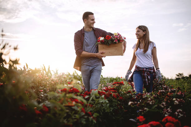 istock Cheerful couple working in flower business 1162814229