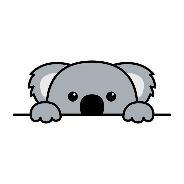 ilustrações de stock, clip art, desenhos animados e ícones de cute koala paws up over wall, koala peeking cartoon icon, vector illustration - marsupial