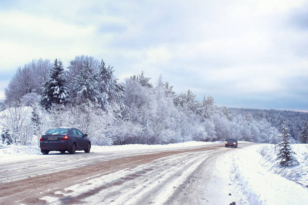 istock landscape in the winter forest with snow covered wilderness 1162816219