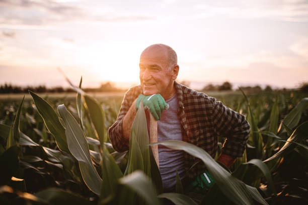 istock Happy farmer taking a break from work on his farm 1162817651