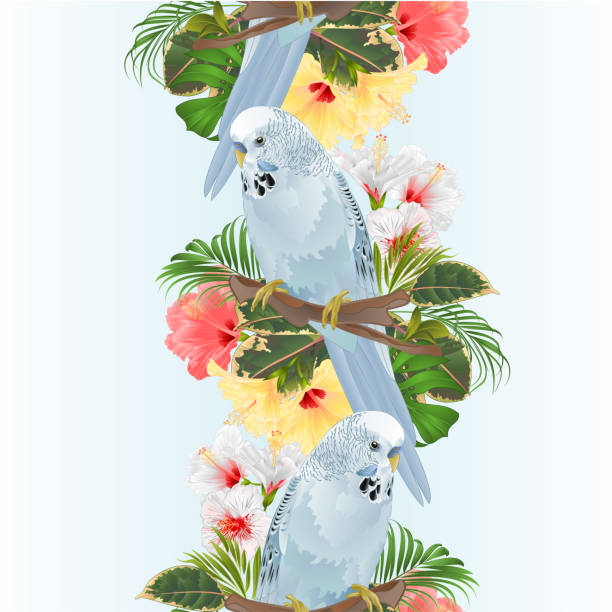 illustrazioni stock, clip art, cartoni animati e icone di tendenza di bordo verticale senza cuciture uccello sfondo budgerigar, animale domestico domestico, parrocchetto di animali domestici blu su un bouquet di rami con ibisco fiori tropicali, palma, philodendron illustrazione vettoriale vintage modificabile - spring birdsong bird seamless