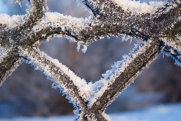 istock Frozenned heart -valentine. 116282200