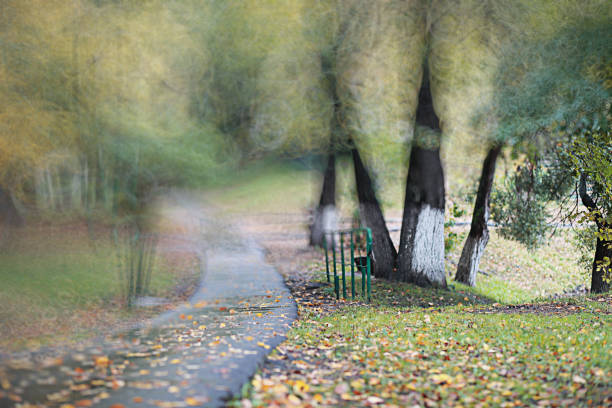 Autumn backgroun rain in the park during the day