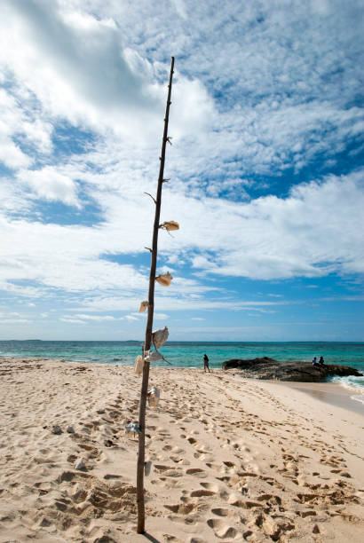 istock The Shell Pole on Grand Turk Island 1162825431
