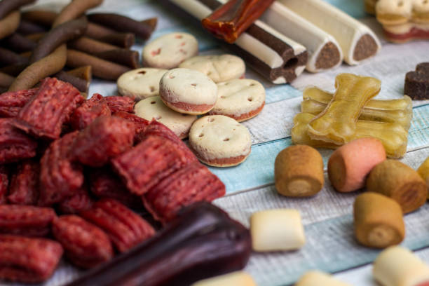 istock Pet food, snacks for dogs 1162826248