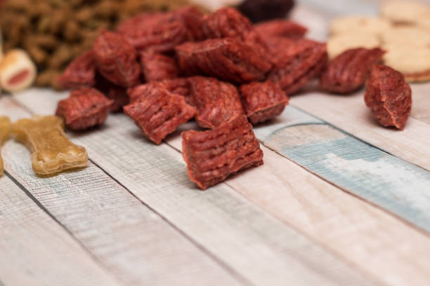 istock Pet food, snacks for dogs 1162826326