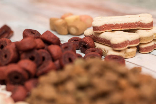 istock Pet food, snacks for dogs 1162826377