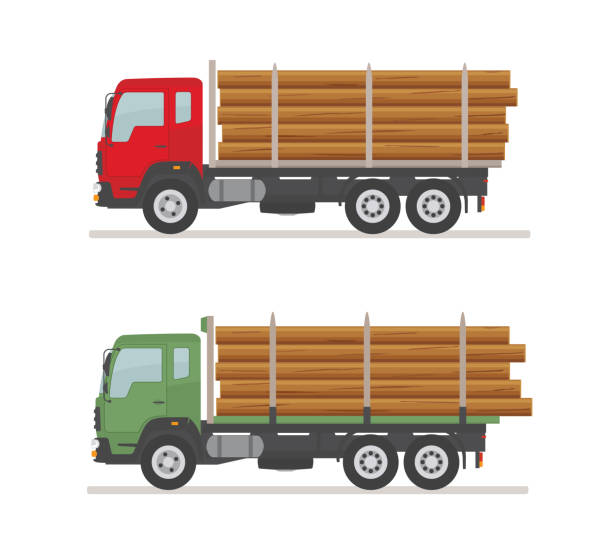 도로에 두 개의 로깅 트럭. 흰색 배경에 격리. - truck lumber industry log wood stock illustrations