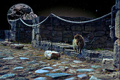 katze-im-park-unter-nachtraum-himmel-mit-erde-und-mond-auf-sie-elemente-dieses-bildes-von-der.jpg?b=1&s=170x170&k=20&c=B1vPAVbG0EUvChpr03VixMK2puP_YsCpi_3r8B4AGNQ=