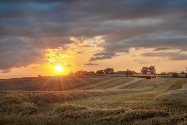 istock Off to the harvest 1162831465