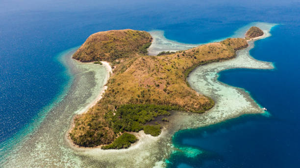 istock Tropical island with white beach and reefs, view from above 1162833090