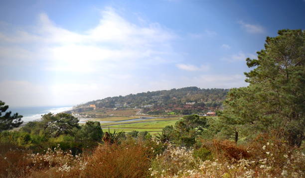 del mar - città della california, vicino alla torrey pines state reserve - torrey pines state reserve foto e immagini stock