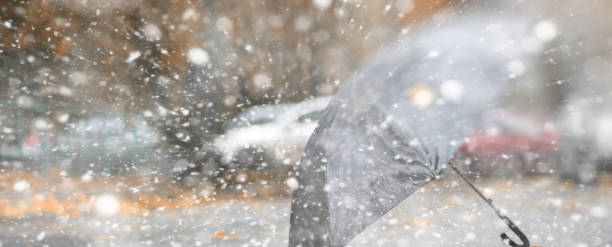 istock Background autumn park in the first snow 1162835006
