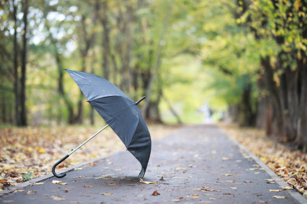istock Autumn background in the park 1162835795