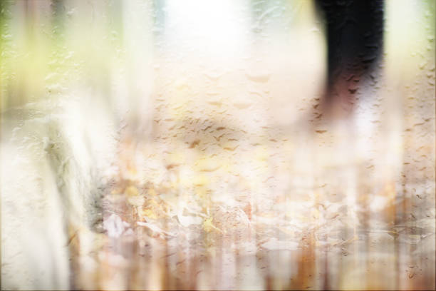 Autumn rain in the park during the day
