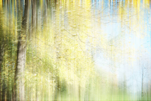 istock Autumn background in the park 1162837264