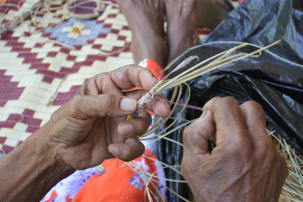 tejiendo canasta de mujer aborigen australiana - land craft fotografías e imágenes de stock