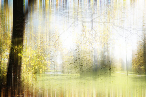 istock Autumn background in the park 1162837908