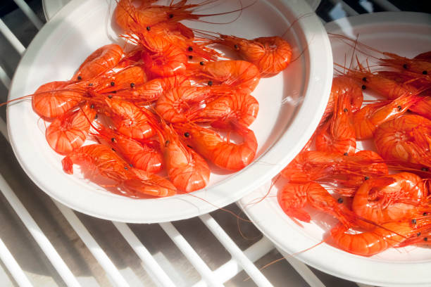 istock Heap of boiled prawns on plastic plates. 1162838192