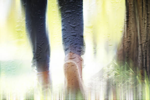 Autumn rain in the park during the day