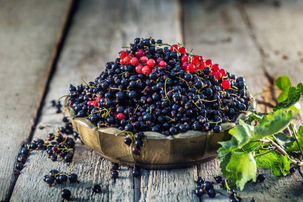 istock Black and red currant in bronze bowl on garden table 1162839487