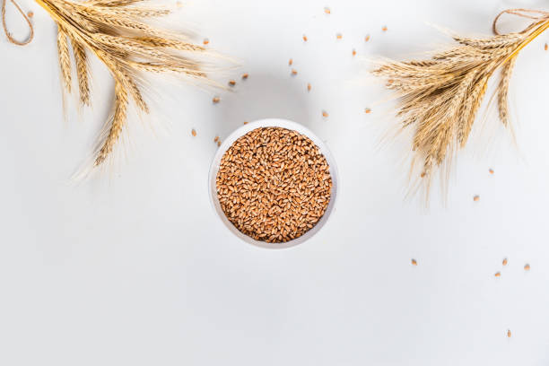 istock wheat ears and bowl of grains on white background, flat lay 1162840148